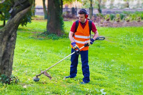 trabajos de jardinería de lunes a viernes